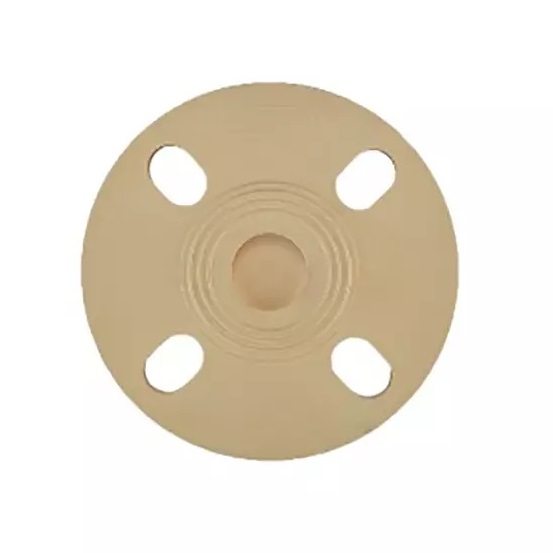 Finolex 2 inch CPVC Flange with Gasket (Closed) - 6208